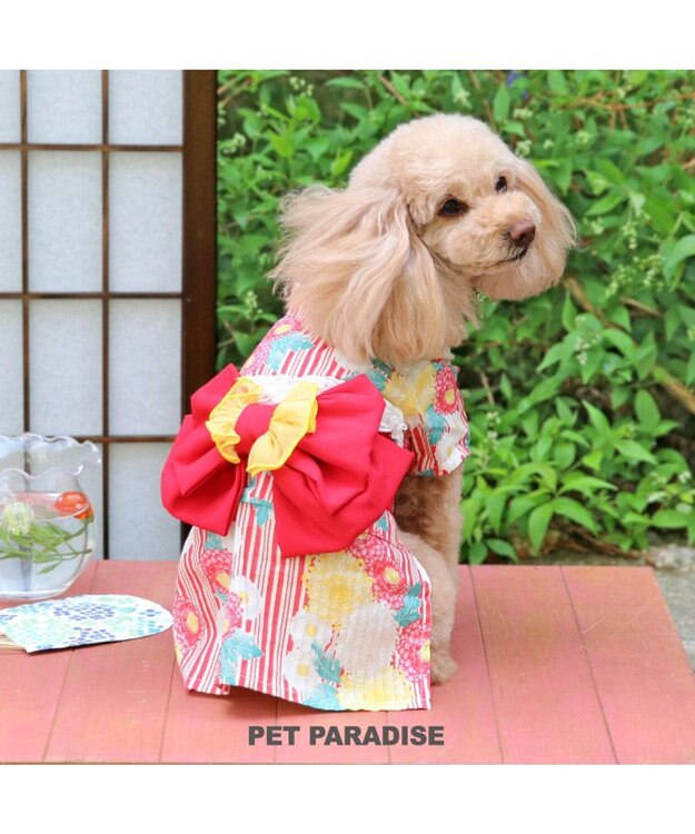 PET PARADISE ペットパラダイス 浴衣 《菊柄》 小型犬 菊柄