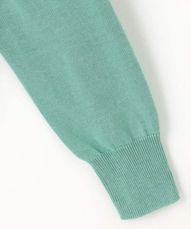 J.PRESS MEN 【KING SIZE】ドライコットン シャドーボーダーニット ライトグリーン系