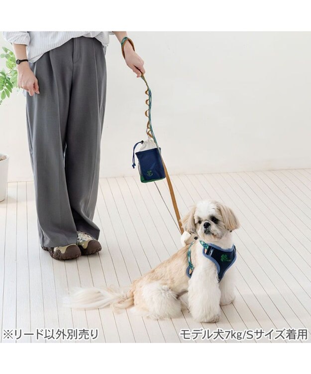 PET PARADISE ペットパラダイス チェック柄 リード ＳＳ～Ｓ 小型犬 グリーン