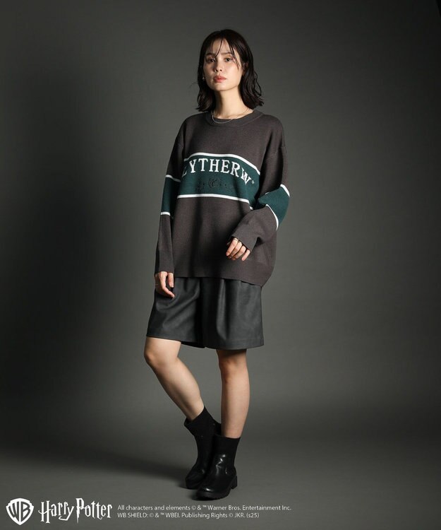 Green Parks ハリー・ポッター／ジャガードラインニット Charcoal Gray