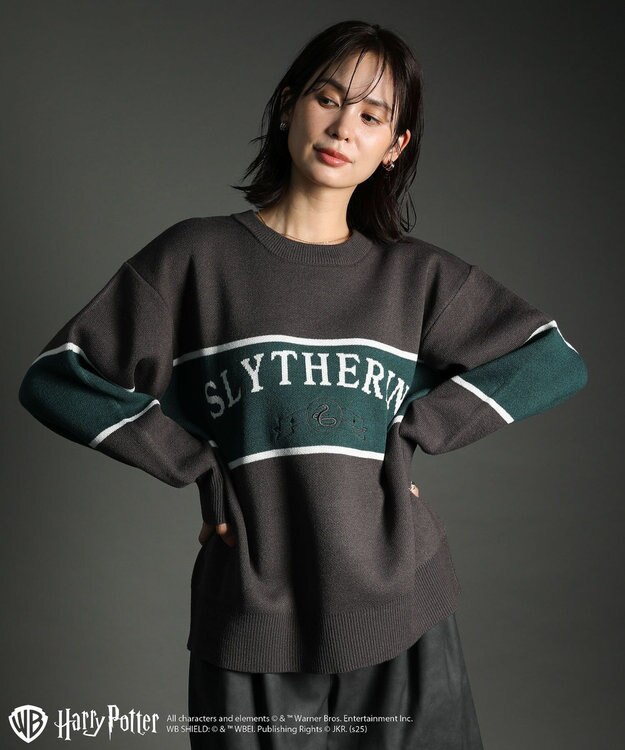 Green Parks ハリー・ポッター／ジャガードラインニット Charcoal Gray
