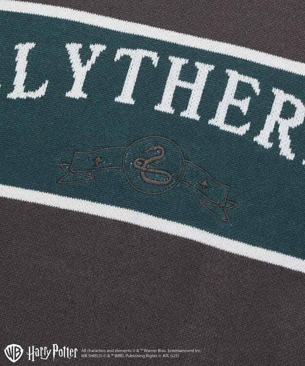 Green Parks ハリー・ポッター／ジャガードラインニット Charcoal Gray