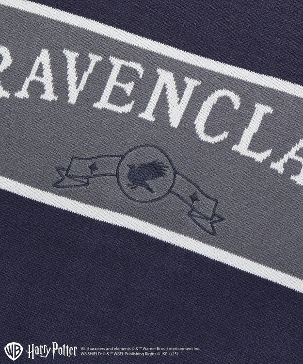 Green Parks ハリー・ポッター／ジャガードラインニット Navy