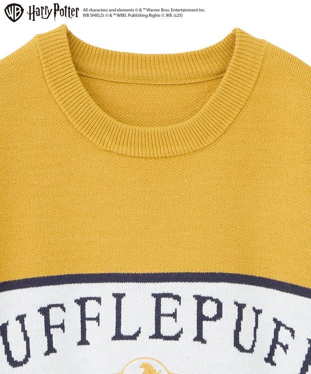 Green Parks ハリー・ポッター／ジャガードラインニット Yellow