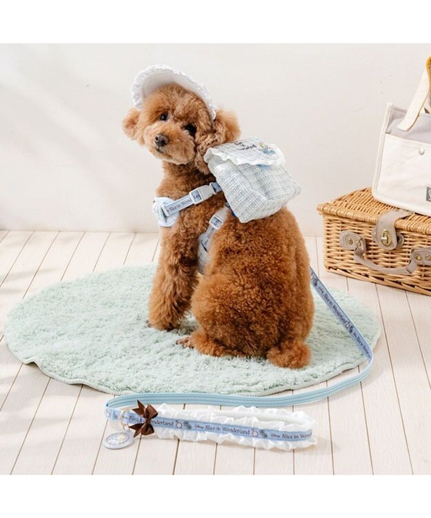 PET PARADISE ディズニー アリス フリルリード ４Ｓ～３Ｓ ブルー