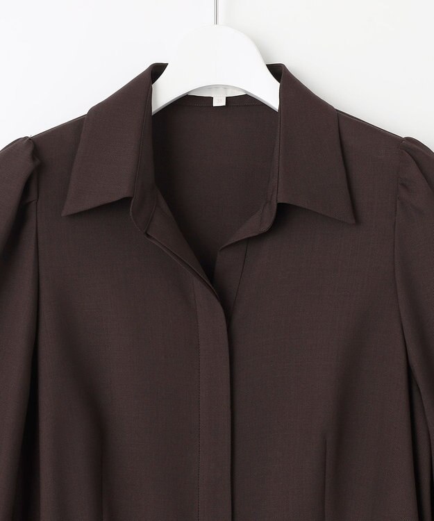 自由区 【洗える】ボリュームスリーブシャツ ドレス ダークブラウン系