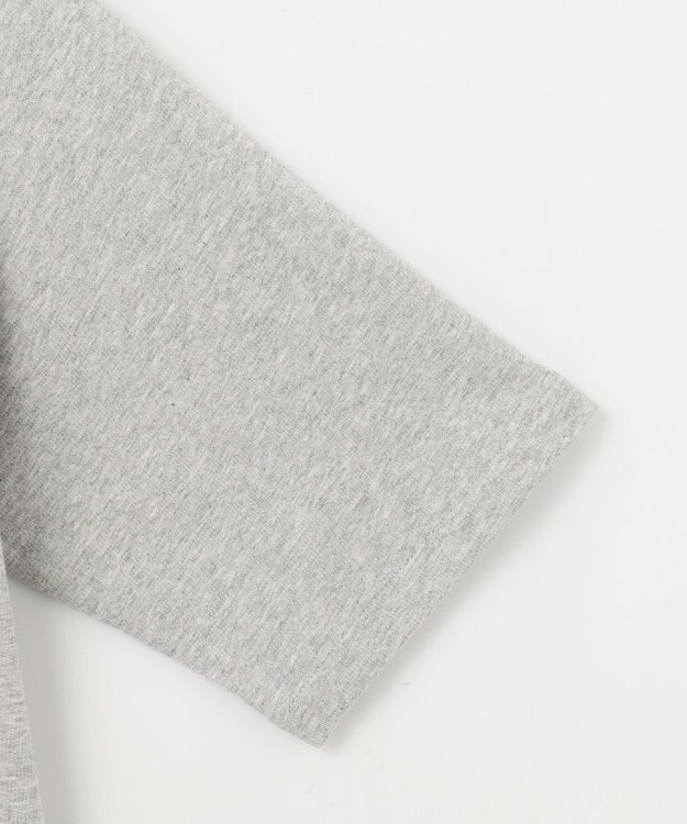 ANY L 【洗濯機可】刺繍ロゴミニ裏毛スウェット ライトグレー