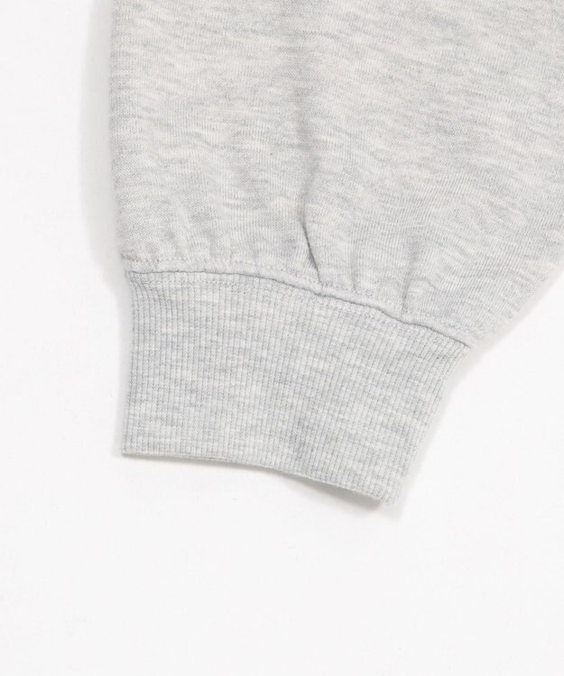 WEGO 【ユニセックス着用ITEM/SMLサイズ展開/裏起毛】ワンポイント刺繍プルパーカー アッシュグレー