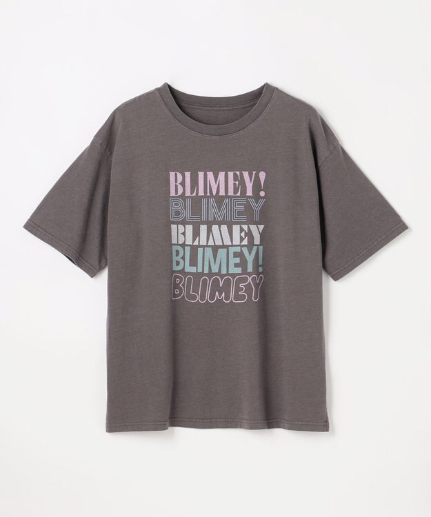 ANY ピグメントアソートロゴＴシャツ スレート