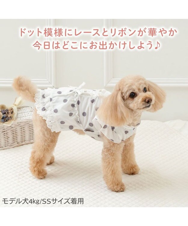 PET PARADISE ペットパラダイス 背中開き フリル ワンピース 《ドット柄》 小型犬 ホワイト