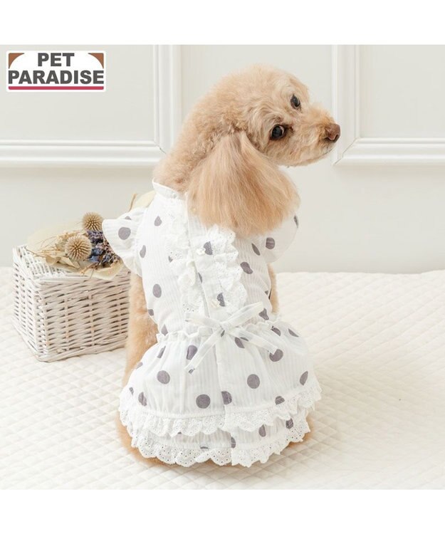 PET PARADISE ペットパラダイス 背中開き フリル ワンピース 《ドット柄》 小型犬 ホワイト