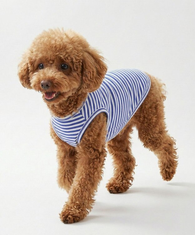 OP／FILA 【Ocean Pacific】ボーダードッグウェア ペットウェア ブルー