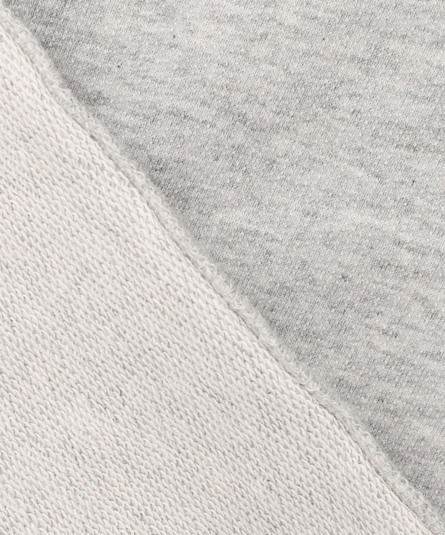 ANY L 【洗濯機可】刺繍ロゴミニ裏毛スウェット ライトグレー