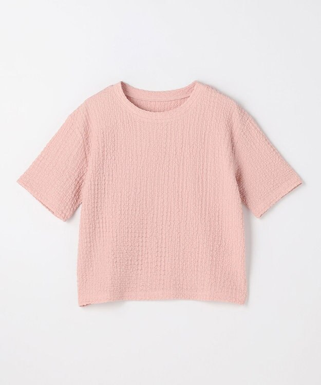 ANY L レースショート丈Tシャツ ピンク