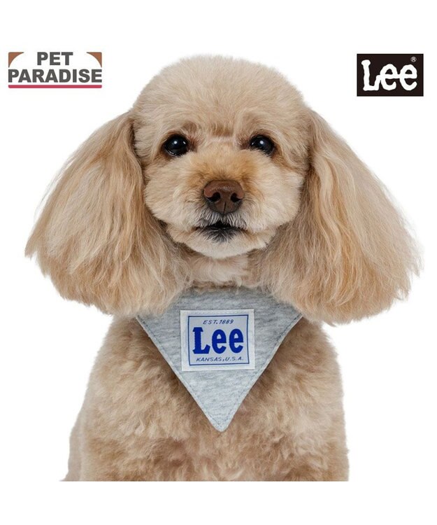 PET PARADISE Lee 両面バンダナ 首輪 ３Ｓ グレー