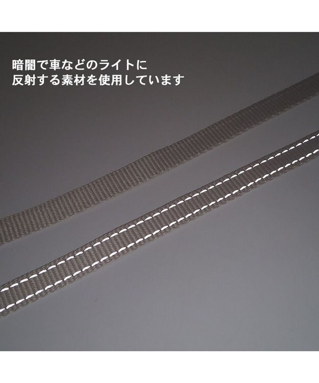 PET PARADISE シンプル リード付きハーネス 【ＳＳ】 ベージュ