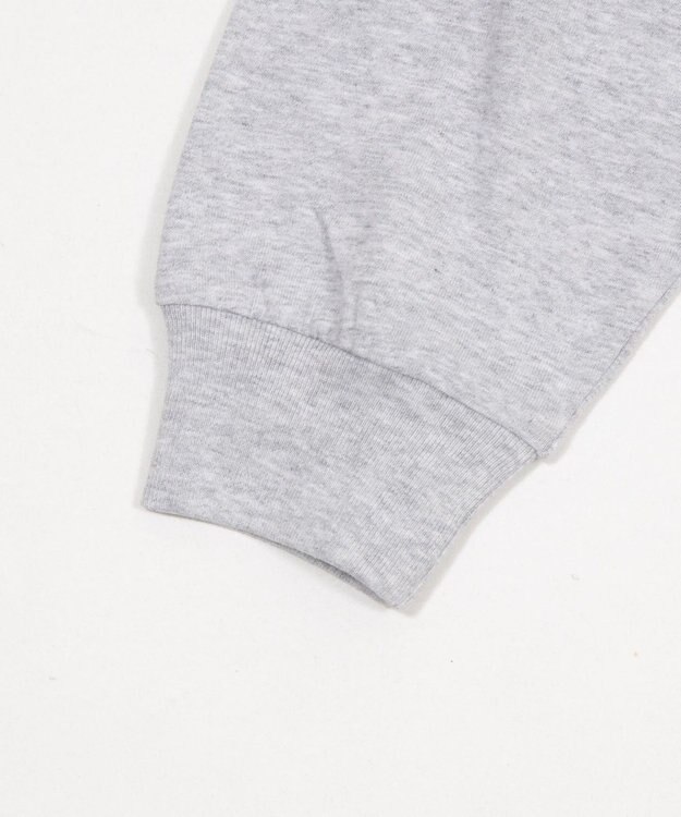 WEGO ポケット刺繍BIG　T（長袖） アッシュグレー