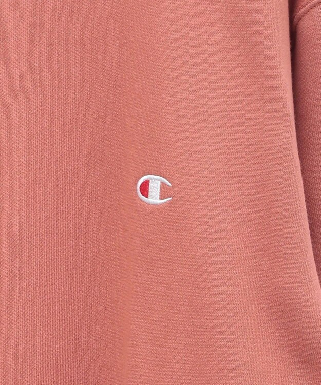 Green Parks ■Ｃｈａｍｐｉｏｎ　クルーネックスウェット Brown