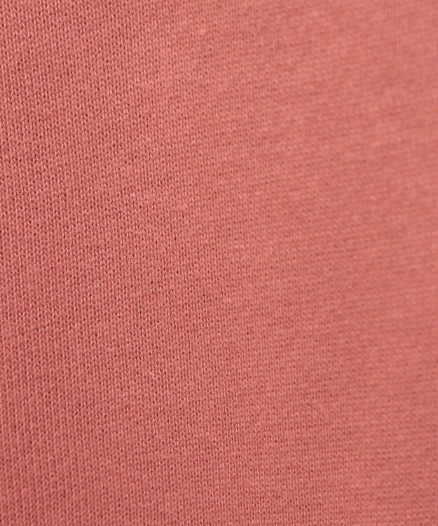 Green Parks ■Ｃｈａｍｐｉｏｎ　クルーネックスウェット Brown