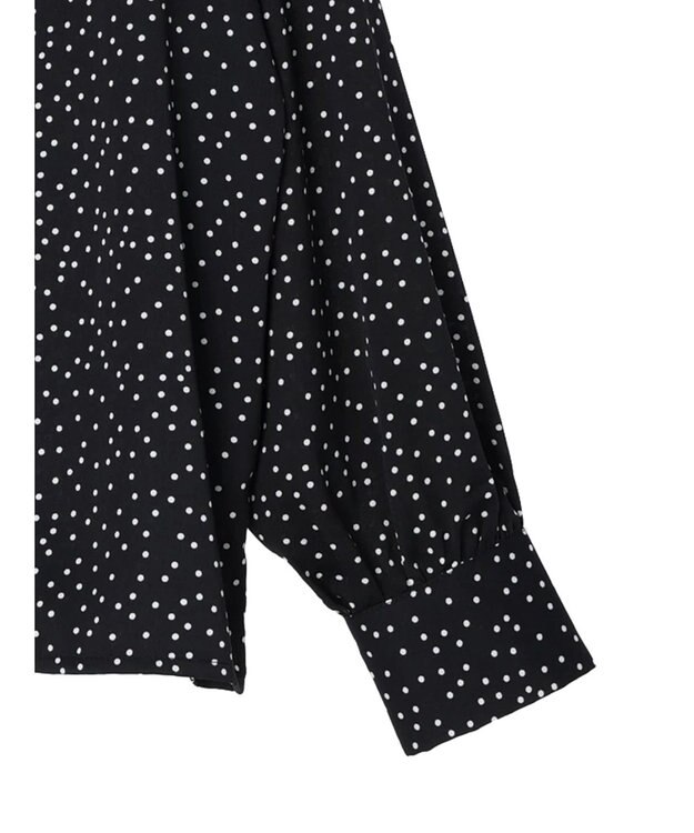 Green Parks ・ＥＬＥＮＣＡＲＥ　ＤＵＥ　ハシゴレースブラウス Dot