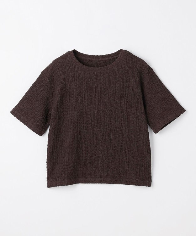 ANY L レースショート丈Tシャツ ブラウン