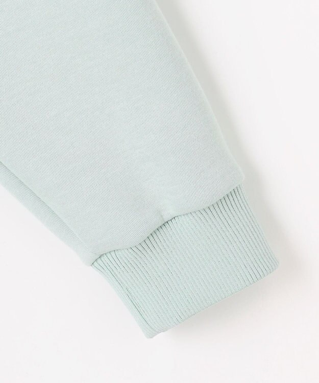 J.PRESS LADIES ダンボールジャージー プルオーバー カットソー スモーキーミント系