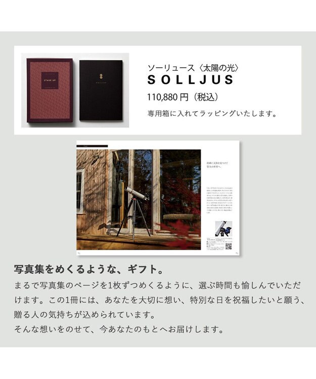 antina gift studio stage up(ステージアップ) カタログギフト ＜ソーリュース＞ -
