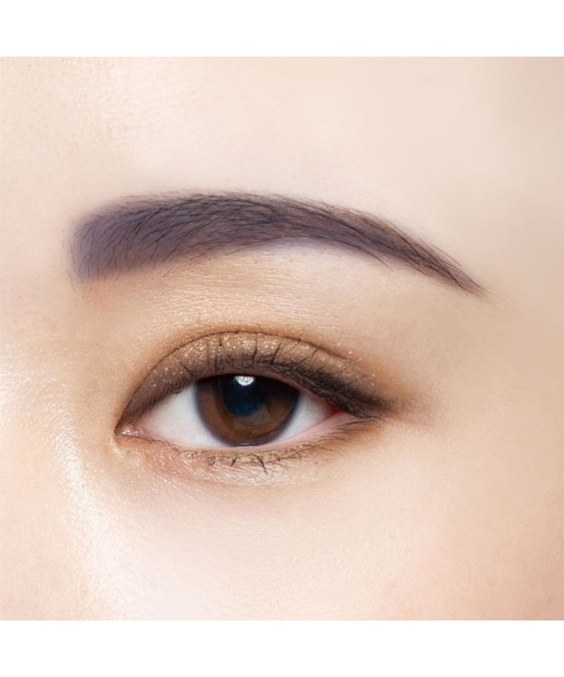 Chacott Cosmetics フェイスカラーパレット【511】パラレルワールド ー