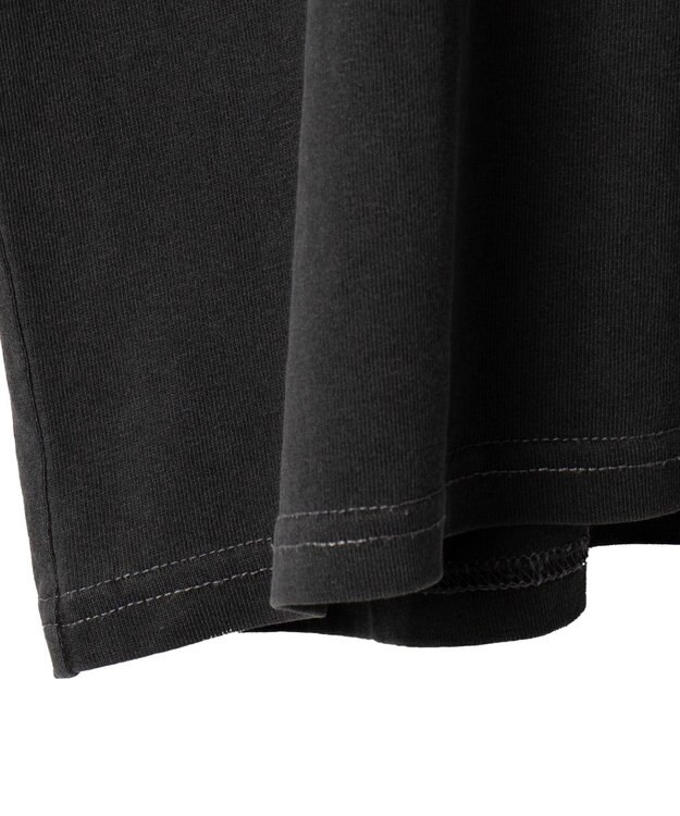 WEGO ピグメントBIGロゴボックスT（SS） スミクロ