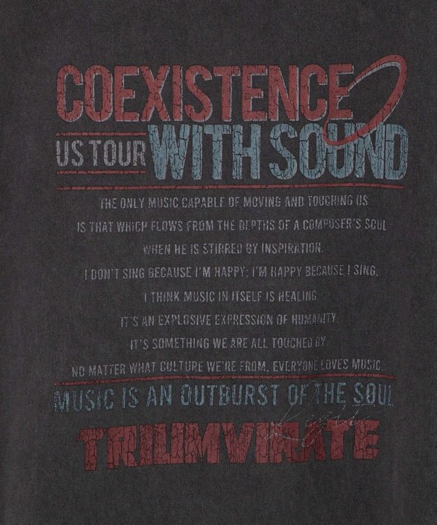 WEGO 【ユニセックス着用アイテム/手洗い可】ピグメントグラフィックノースリーブ 柄2