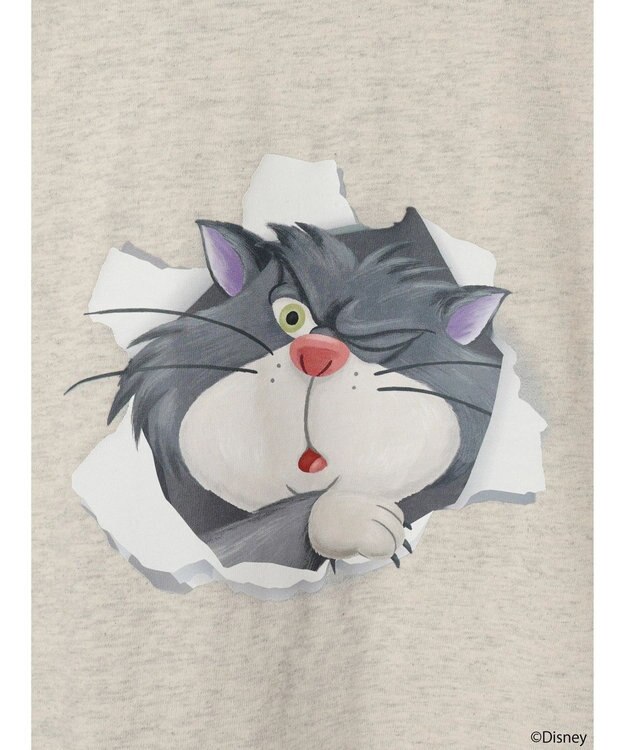 earth music&ecology Ｄｉｓｎｅｙ／フロントルシファーロンＴ Oatmeal