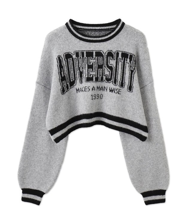 WEGO ラインリブフラッフィーショートニット ライトグレー