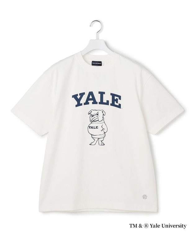 J.PRESS YORK STREET 【YALE別注】【UNISEX】ブルドッグ プリント Tシャツ ホワイト系
