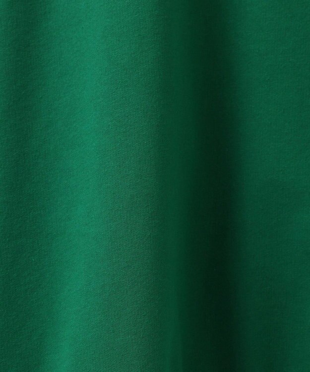 Green Parks Ｍｉｆｆｙ／ナンバーロゴミニ裏毛プルオーバー Green