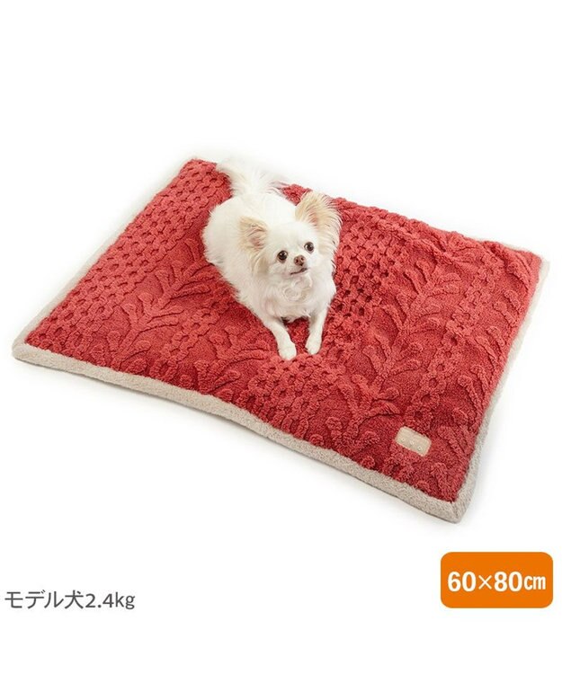 PET PARADISE ペットパラダイス 遠赤外線 アランボア マット レッド