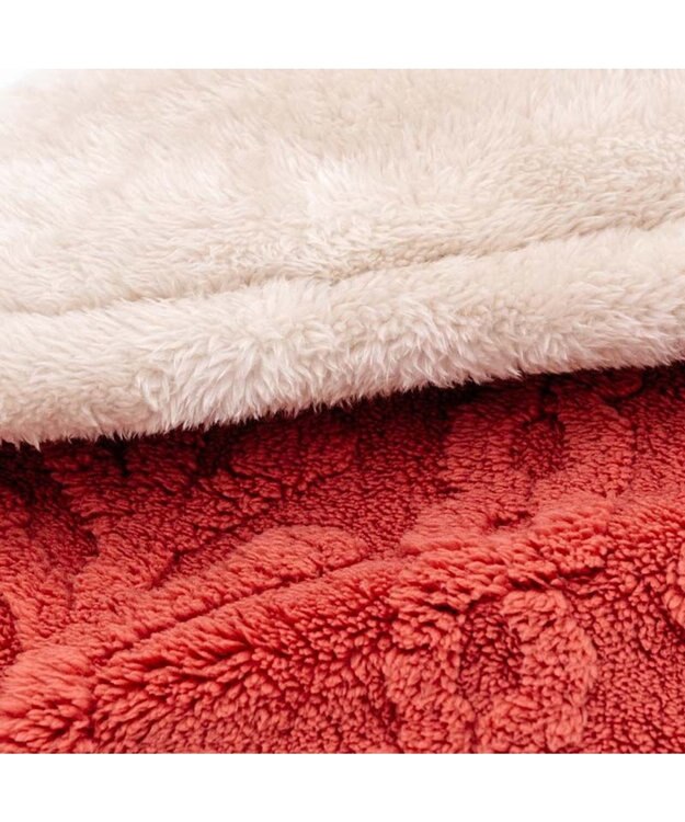 PET PARADISE ペットパラダイス 遠赤外線 アランボア マット レッド