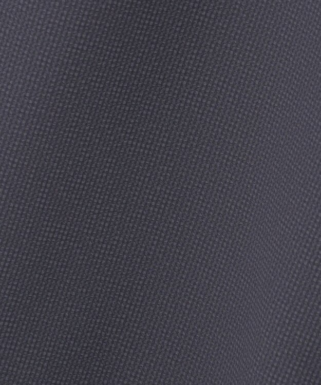 J.PRESS LADIES S 【洗える・吸水速乾】DRYライトサッカー クロップド パンツ スレート系