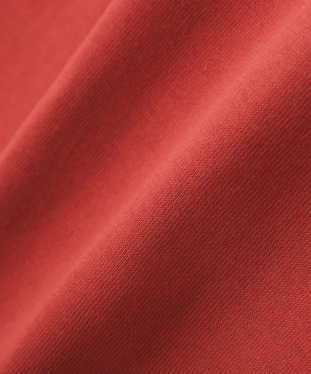 Green Parks 汗染み防止ボックスロゴＴシャツ Red