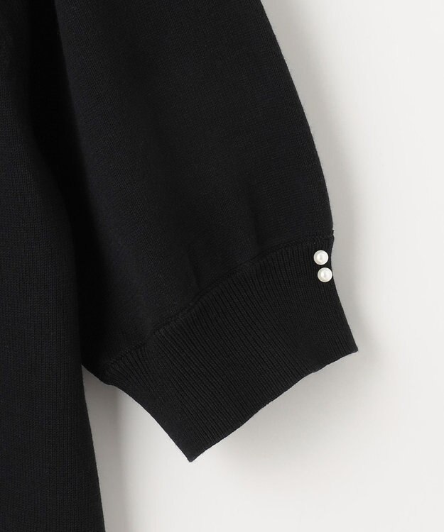 Feroux 【洗える】バイカラー襟 ニット ブラック系