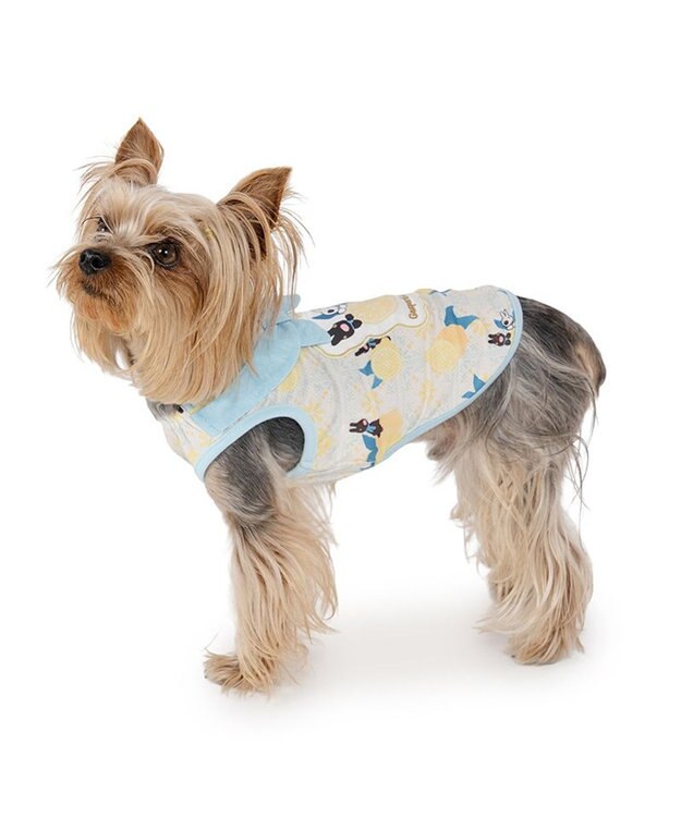 PET PARADISE リサとガスパール エコメイド シトラス タンクトップ 小型犬 ホワイト×ブルー