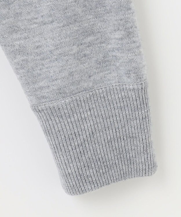 PW CIRCULUS 【WOMEN】【洗える】ベアスタンドモチーフ ラグランスリーブ クルーネック ニット ライトグレー系