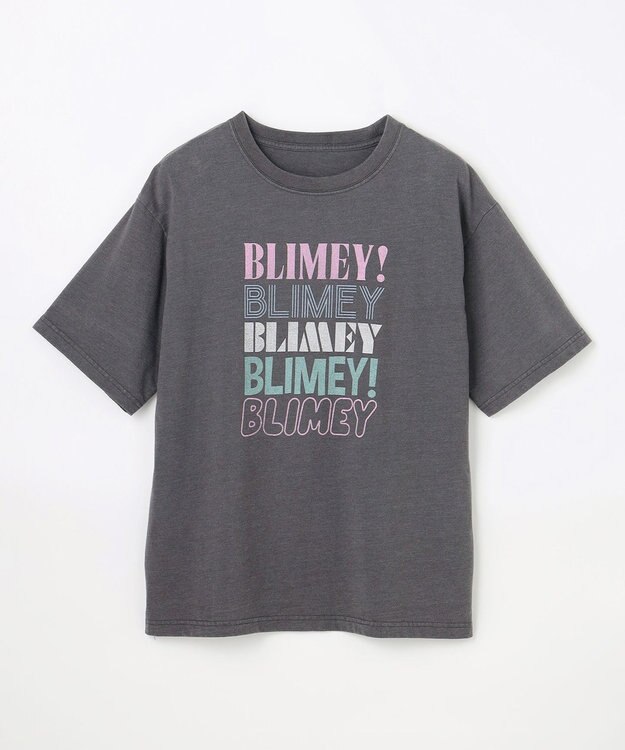 ANY ピグメントアソートロゴＴシャツ スレート