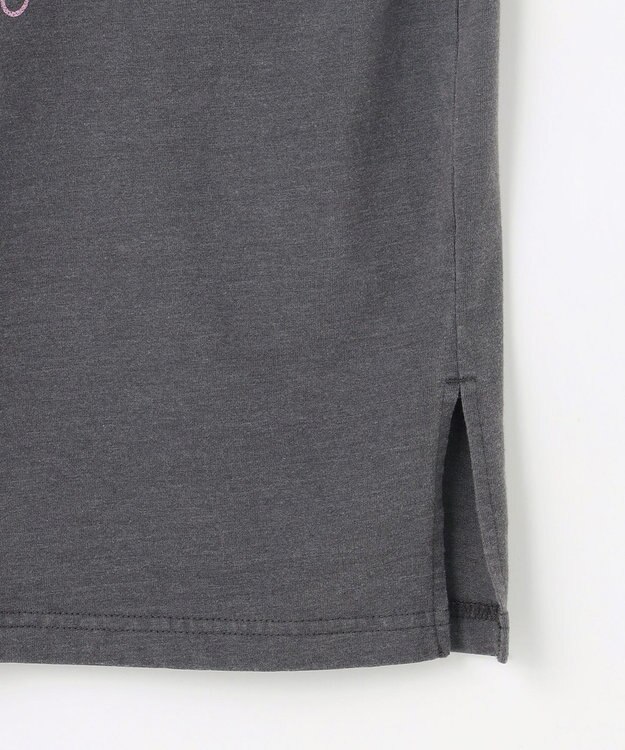 ANY ピグメントアソートロゴＴシャツ スレート