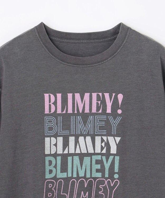 ANY ピグメントアソートロゴＴシャツ スレート