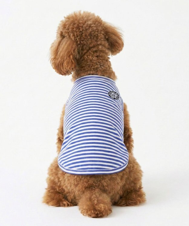 OP／FILA 【Ocean Pacific】ボーダードッグウェア ペットウェア ブルー