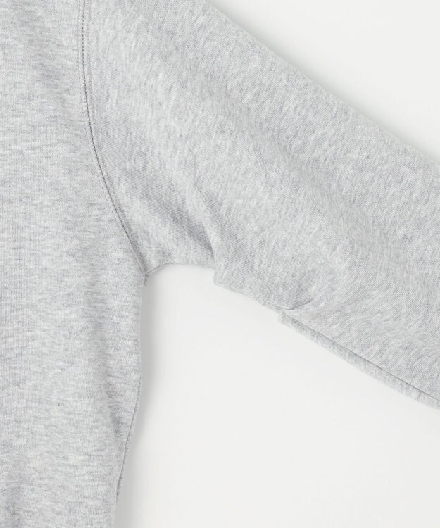 ANY ロゴスウェット ライトグレー