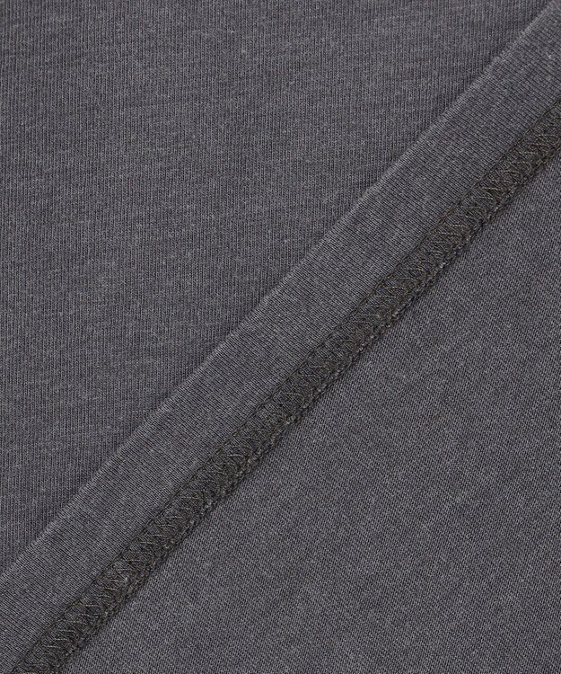 ANY ピグメントアソートロゴＴシャツ スレート