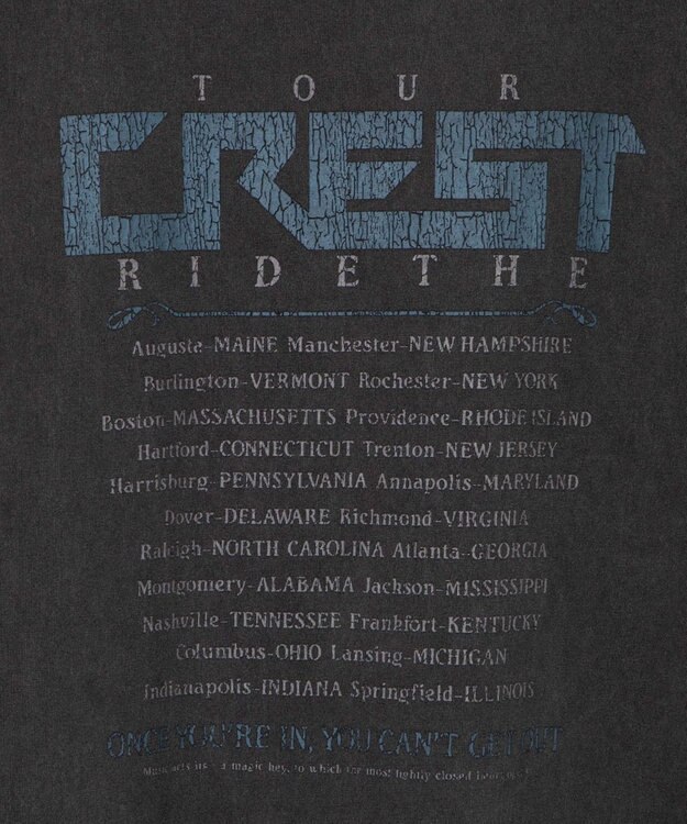 WEGO 【ユニセックス着用アイテム/手洗い可】ピグメントグラフィックノースリーブ 柄3