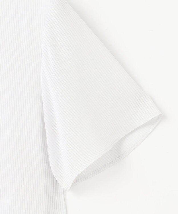 J.PRESS LADIES L シアーストライプ カットソー ライトグレー系1