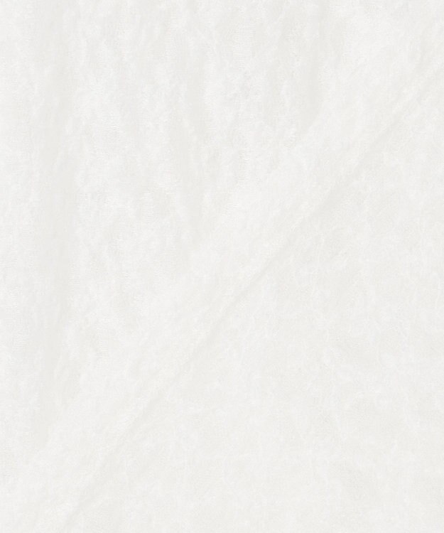 23区 L 【SLOW/一部店舗限定】リンクルレース シアー カットソー ホワイト系